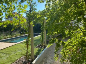 Jardin moderne et ensoleillé avec longue piscine, terrasse bois, pelouse, allée gravier. Feuillage vert luxuriant au premier plan.