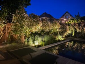 Jardin de nuit avec piscine éclairée, transats sur terrasse en bois, buissons fleuris et herbes hautes illuminés, maisons en arrière-plan.