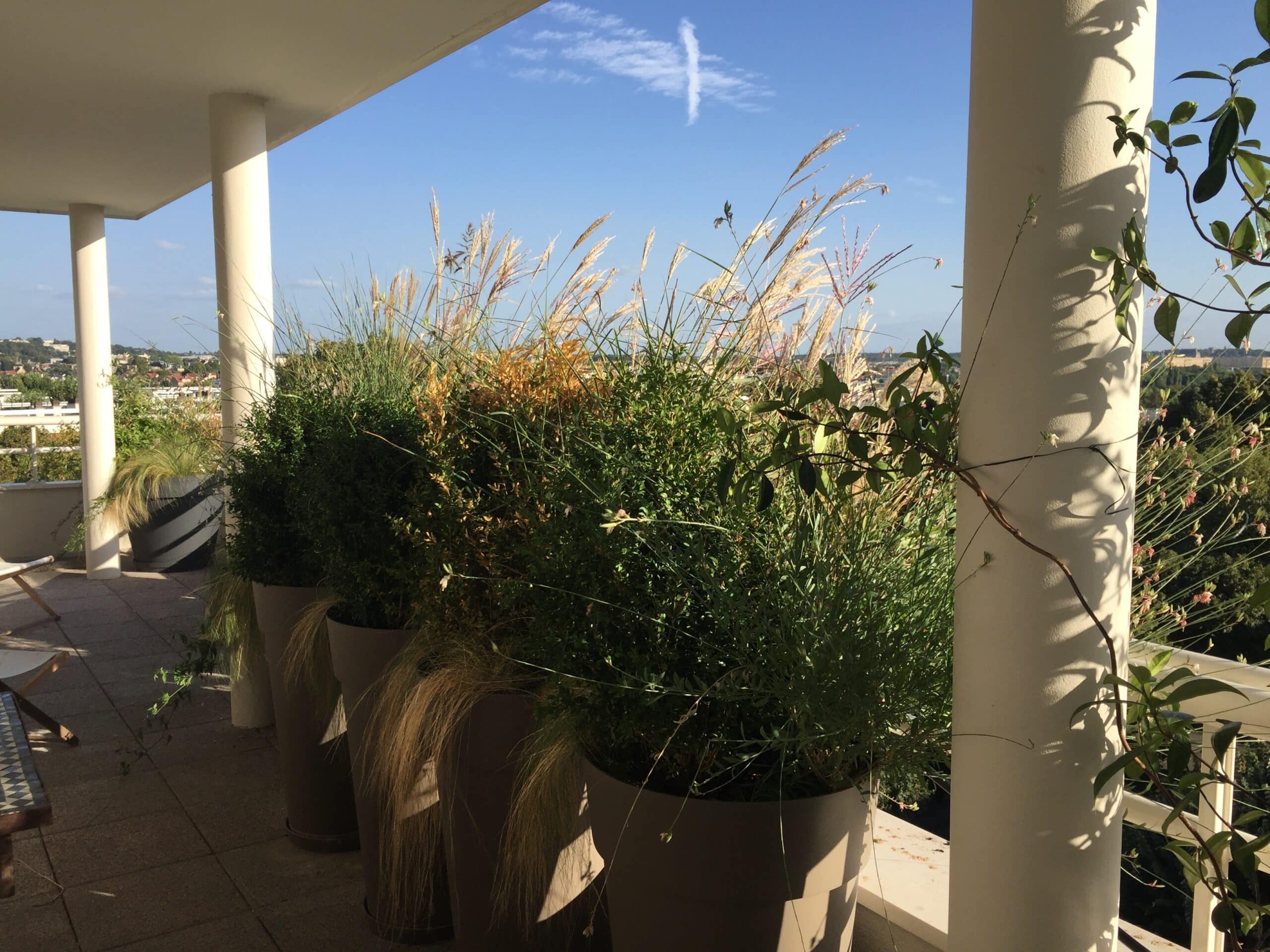 Balcon ensoleillé avec grandes jardinières de graminées et arbustes, piliers blancs, vue sur ville et ciel bleu nuageux.