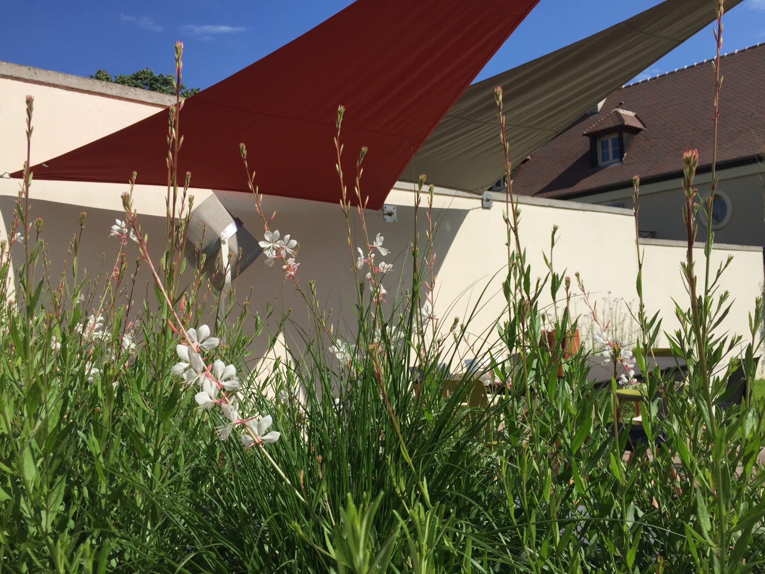 Plantes fleuries blanches et vertes au premier plan. En arrière-plan, un bâtiment moderne avec des toiles d'ombrage rouges et beiges sous un ciel bleu.