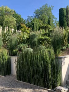 Jardin contemporain en terrasses: allée de gravier, haies de prêles vertes, murs clairs, feuillage varié et arbres sous un ciel bleu éclatant.