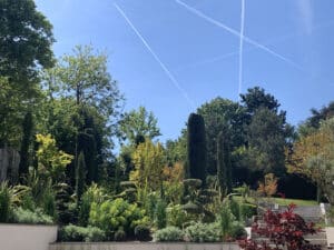 Jardin paysager luxuriant avec cyprès, arbustes verts variés et un érable rouge. Ciel bleu clair parsemé de multiples traînées d'avions.