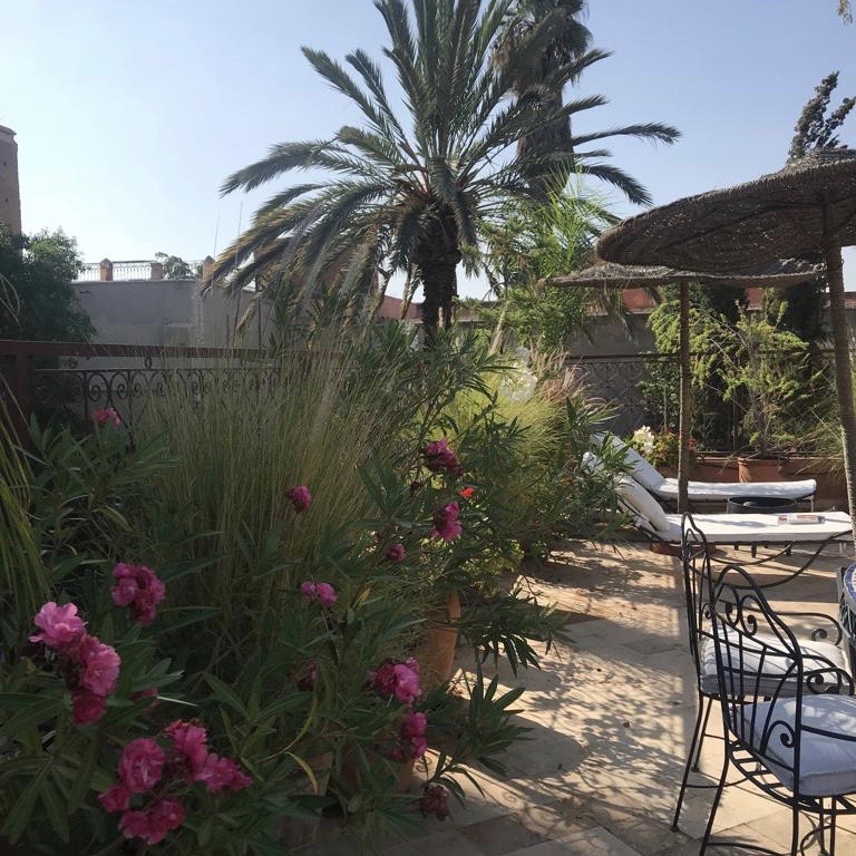 Patio ensoleillé méditerranéen avec palmiers, fleurs roses et herbe. Salon de jardin en fer forgé et transats sous parasols de paille.