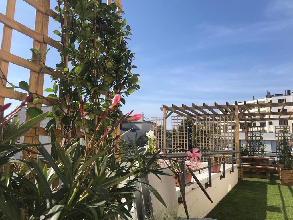 Grande terrasse sur le toit avec pergola en bois, plantes grimpantes à fleurs roses, pelouse artificielle et table pique-nique.