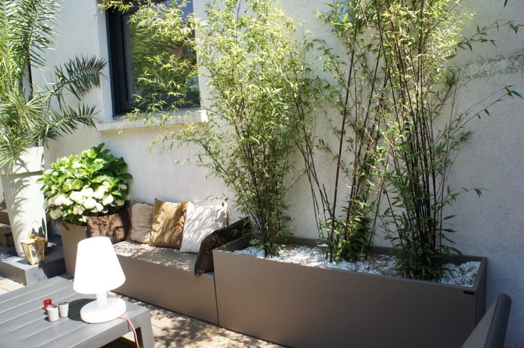Patio moderne avec banc intégré, bambous en jardinières, hortensias blancs, et table basse. Ambiance extérieure sereine et design.