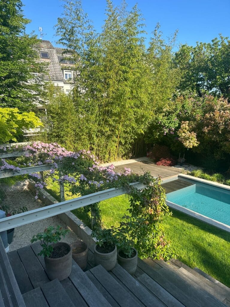 Jardin moderne avec piscine bleue, terrasse bois, pergola fleurie de rose et grands bambous. Maison à toit gris en arrière-plan ensoleillé.