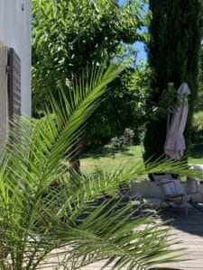 Frond de palmier vert éclatant devant une terrasse ensoleillée. Mobilier de jardin, parasol, verdure luxuriante et ciel bleu d'été.