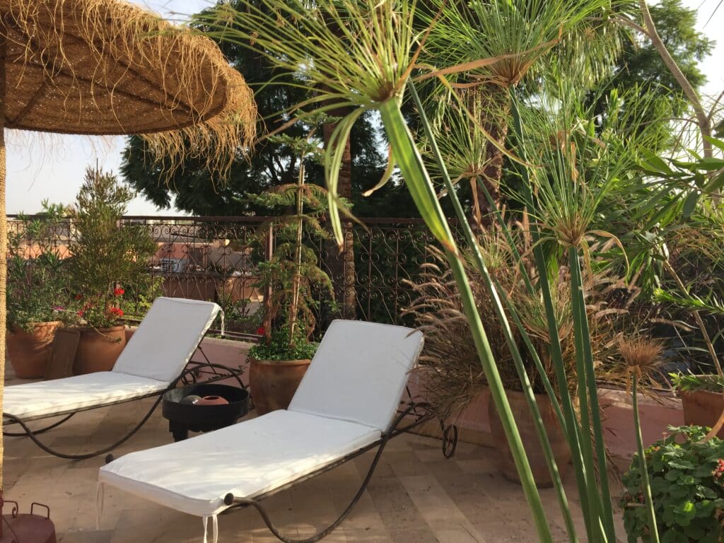 Terrasse ensoleillée avec deux transats blancs, parasol en paille, plantes de papyrus et balustrade en fer forgé. Ambiance relaxante.
