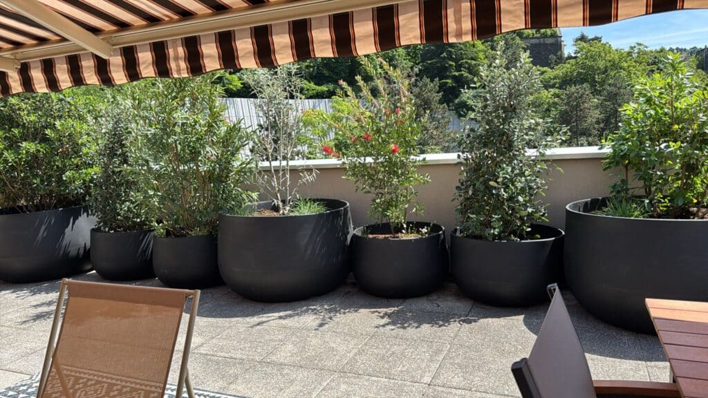 Terrasse ensoleillée sous auvent rayé, avec plantes vertes luxuriantes, olivier et callistemon en pots noirs. Chaise lounge et table en bois.