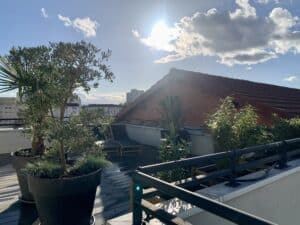 Terrasse de toit ensoleillée avec grand olivier en pot, palmier, transats sur deck bois. Vue sur ville, toit rouge, ciel bleu nuageux.