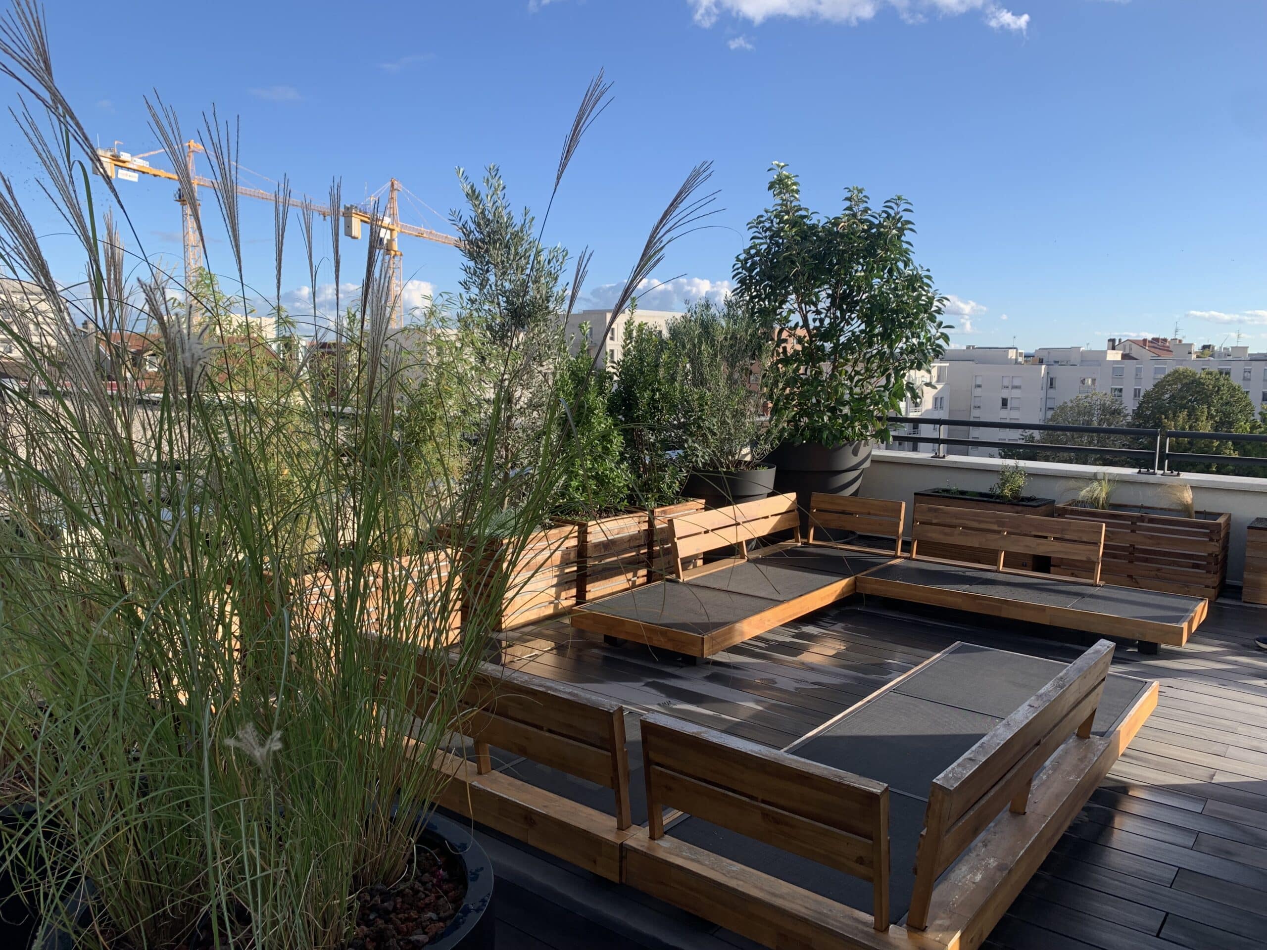 Terrasse de toit moderne avec bancs en bois, plantes et herbes hautes. Ciel bleu, bâtiments urbains et grues de chantier à l'horizon.